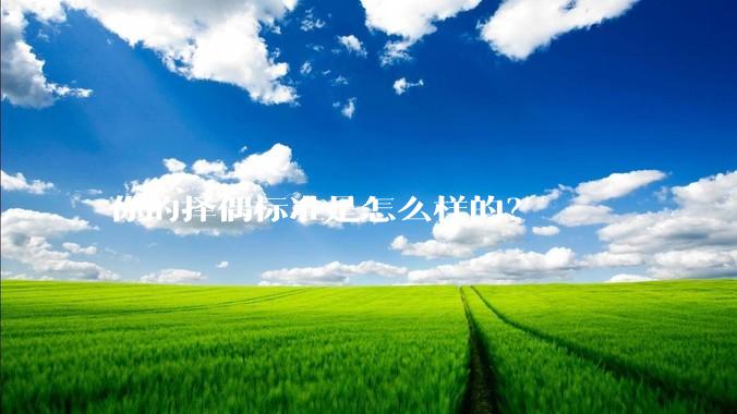 你的择偶标准是怎么样的？