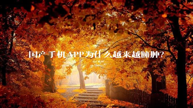 国产手机APP为什么越来越臃肿？