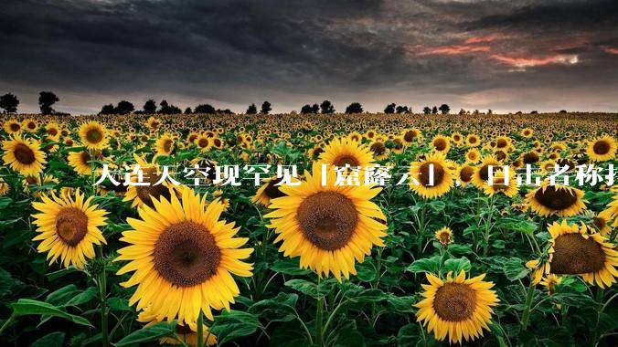 大连天空现罕见「窟窿云」，目击者称持续半小时，压迫感十足，窟窿云是怎么形成的？你见过吗？