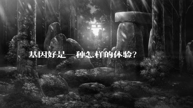 基因好是一种怎样的体验？