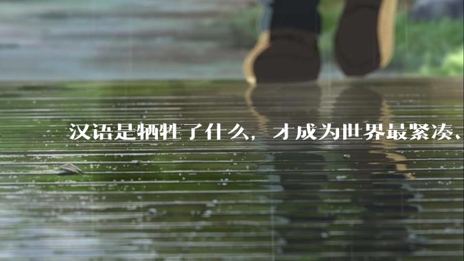 汉语是牺牲了什么，才成为世界最紧凑、最高效的语言？
