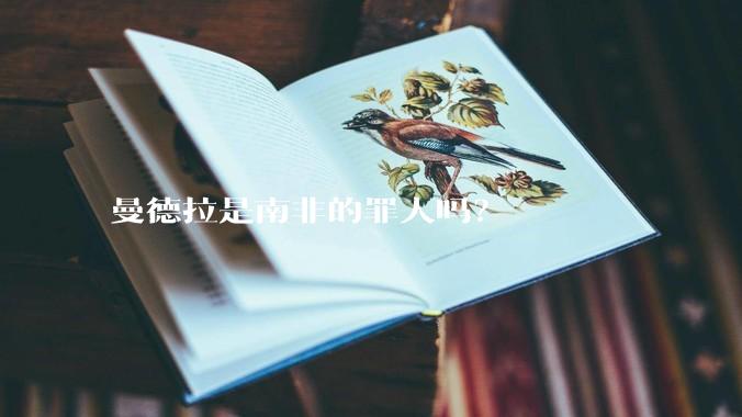 曼德拉是南非的罪人吗？
