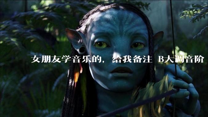 女朋友学音乐的，给我备注 B大调音阶 是什么含义呢？
