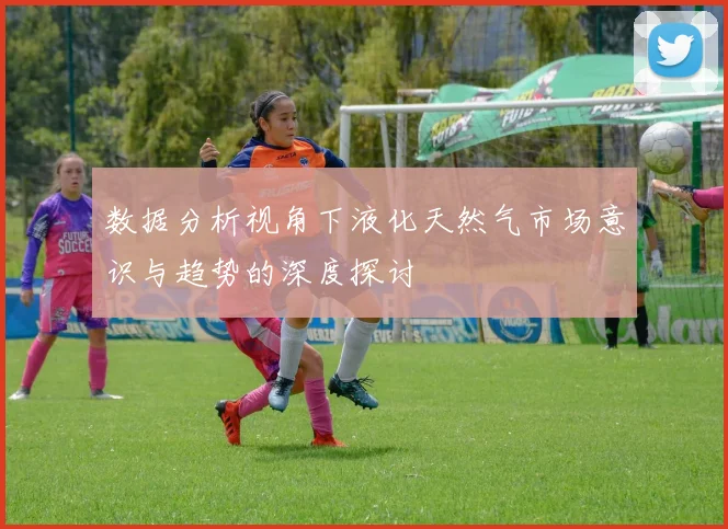 数据分析视角下液化天然气市场意识与趋势的深度探讨