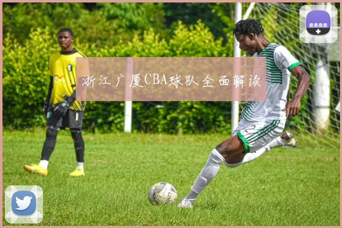 浙江广厦CBA球队全面解读
